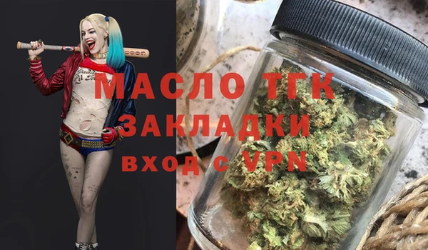 хмурый Горняк