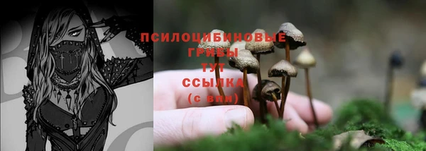 синтетический гашиш Горно-Алтайск