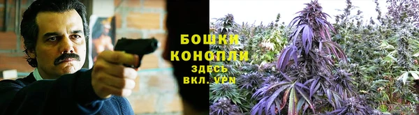 2c-b Вяземский