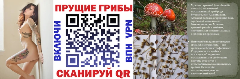 Купить закладки  Заозёрный  Псилоцибиновые грибы мухоморы 